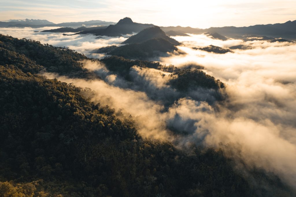 mountains and morning fog in tropical forest